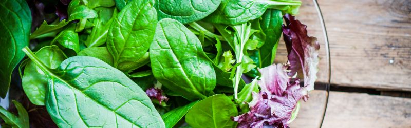 Salads category header image